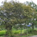 대종1리 이미지