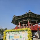 응봉개나리어린이공원 | 주말 응봉산 개나리 축제 다녀왔어요 | 응봉역 주차장 개나리개화현황 실시간