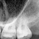 드림치주과치과의원 이미지