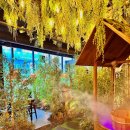 분당-297 이미지