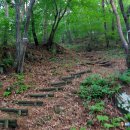 . | 충남 홍성 백월산(394m) 작지만 옹골찬 내력의 전망 좋은 동네명산(2026.5.22)