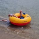 진하반점 이미지