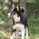 이스트카 이미지