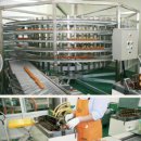 거제농산물수출영농조합법인 이미지