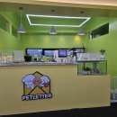 애견카페 애견유치원 펫레터 이미지