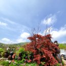 한정식수라 이미지