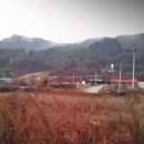 인제스피디움 주유소 네이버블로그