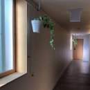 헤이,춘천(Heyy,chuncheon) 이미지