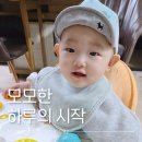 모모한 하루 이미지