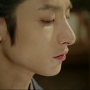 뿌리깊은나무 이미지