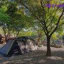 숲속개울가 | [가평 캠핑장 추천] 개울가오토캠핑장 가평 캠핑장 추천, 자연 속에서 힐링하세요