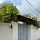 숲소리마을 | 전주 감성 독채 숙소 &#39;숲과생활&#39; 내돈내산 강추 (생활동 후기)