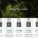 어텐션 네이버블로그
