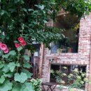 행복헤어 이미지