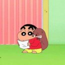 멋내는애견샵 | 천안간판 시공 후기 ㅣ 애견미용샵 몽베르니 후광채널간판 설치