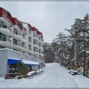 숲사이길펜션 | 평창 숲사이길펜션 리뷰 (2025년 2월)