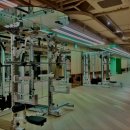 맹그로브 짐 이미지