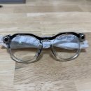 메타 AI 글라스 (Oakley Meta HSTN) 하루 사용 후기