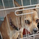 문경가축병원 이미지