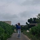 엄정화 카카오 검색결과