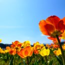 수청한라비발디공인중개사사무소 이미지