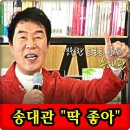딱좋아 네이버블로그