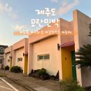 모란 | 제주도 동쪽 감성 숙소 추천 가성비 독채 모란민박 후기