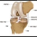 양기1 리 | 四字成語 총정리 ㄷ 387 동영양기~동원개시일