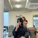하영헤어샵 | [TAN] 연남동 헤어샵 하영실장님 레이어드컷 레이어드펌 후기