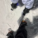지산포레스트리조트 스키장) 지산리조트 야간 인라인스키 재밌다!!