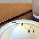 오송애견 이미지