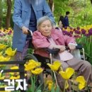 윤경재한의원 네이버블로그