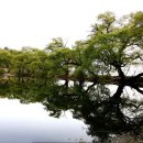 문화예술회관 강당 이미지