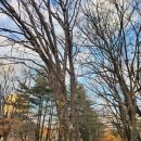 크리스찬바바라 | 인생의 재발견 -바버라 브래들리 해거티