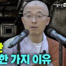 마음이 없다는 걸 깨달을 뿐 다른수행은 필요없다 - 법상스님 이미지