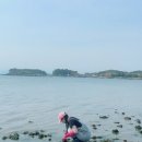 독산레인보우펜션 이미지