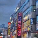 죽도회도매 네이버블로그