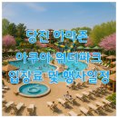 서울랜드 야외수영장 | 당진 아마존 아쿠아 워터파크 입장료 및 행사일정