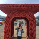 2019 청송사과축제 백일장 | 캠핑축제 - 청송 주왕산느티나무캠핑장(2019. 11.01 ~ 11.03)