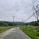 어등농장 이미지