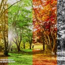 춘하추동 이미지