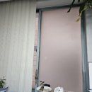 사파동124 이미지