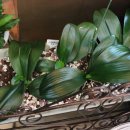 느티나무치과의원 이미지