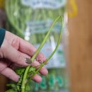 영구네농장 이미지