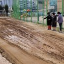 약대초등학교 이미지