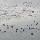 선소로3 이미지