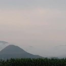 보광공인중개사사무소 이미지