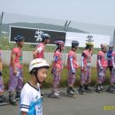 보세창