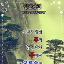 샬롬 Daum카페