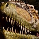 서울에이앤치과의원 네이버블로그